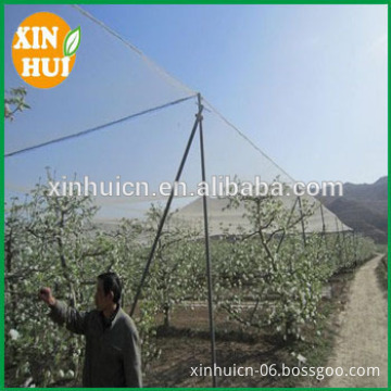 hail protection net for agriculture application